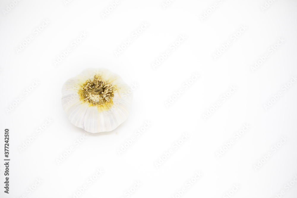 garlic head on white garlic head on white