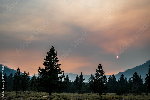 sun glowing orange ball in sky obscured by smoke from forest fire with smoke over distant hills in California pine forest