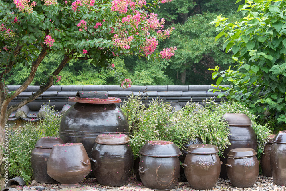 Crocks for Kimchi or sorce storage in Korea Crocks for Kimchi or sorce storage in Korea