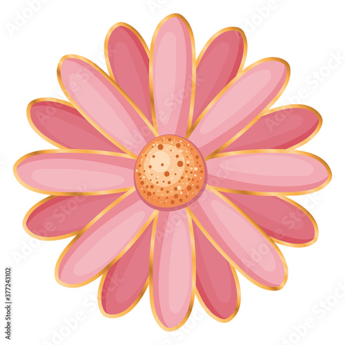 Isolated pink flower vector design