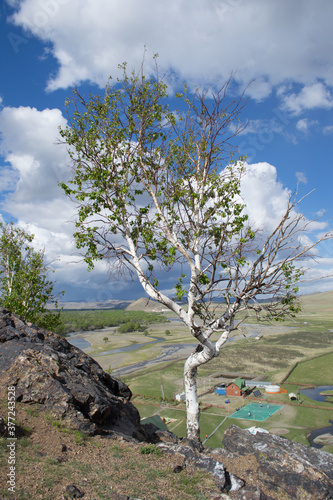 Ger camp and nature landscape in Mongolia
