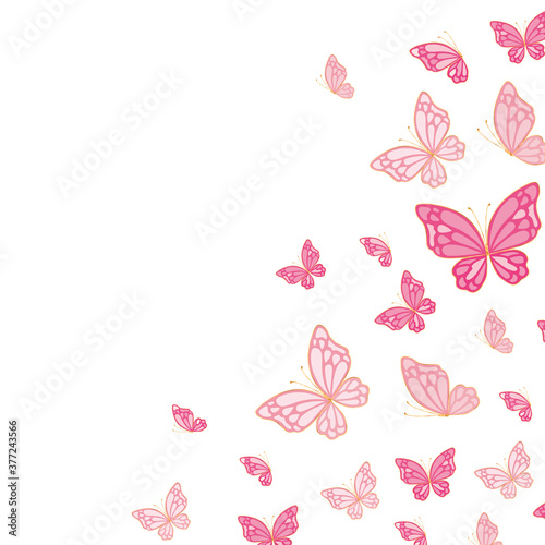 Photography cute pink butterflies vector design
