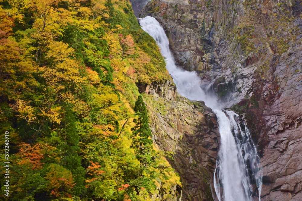 立山 称名滝 秋景色 立山 称名滝 秋景色