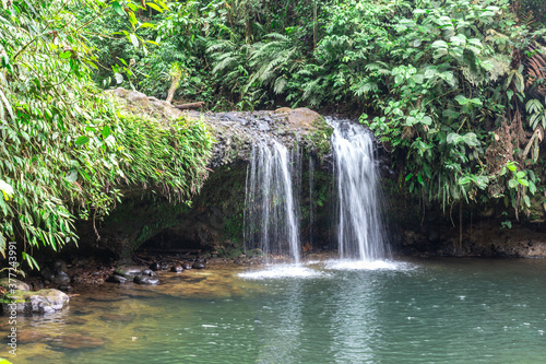 beautiful waterfall in green forest in jungle at mountain
