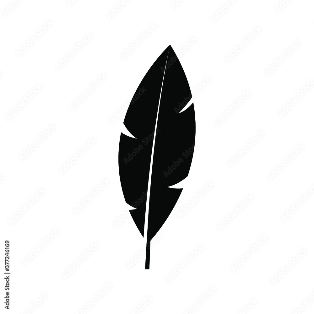 Vector feather icon on isolated white background. Vector feather icon on isolated white background.