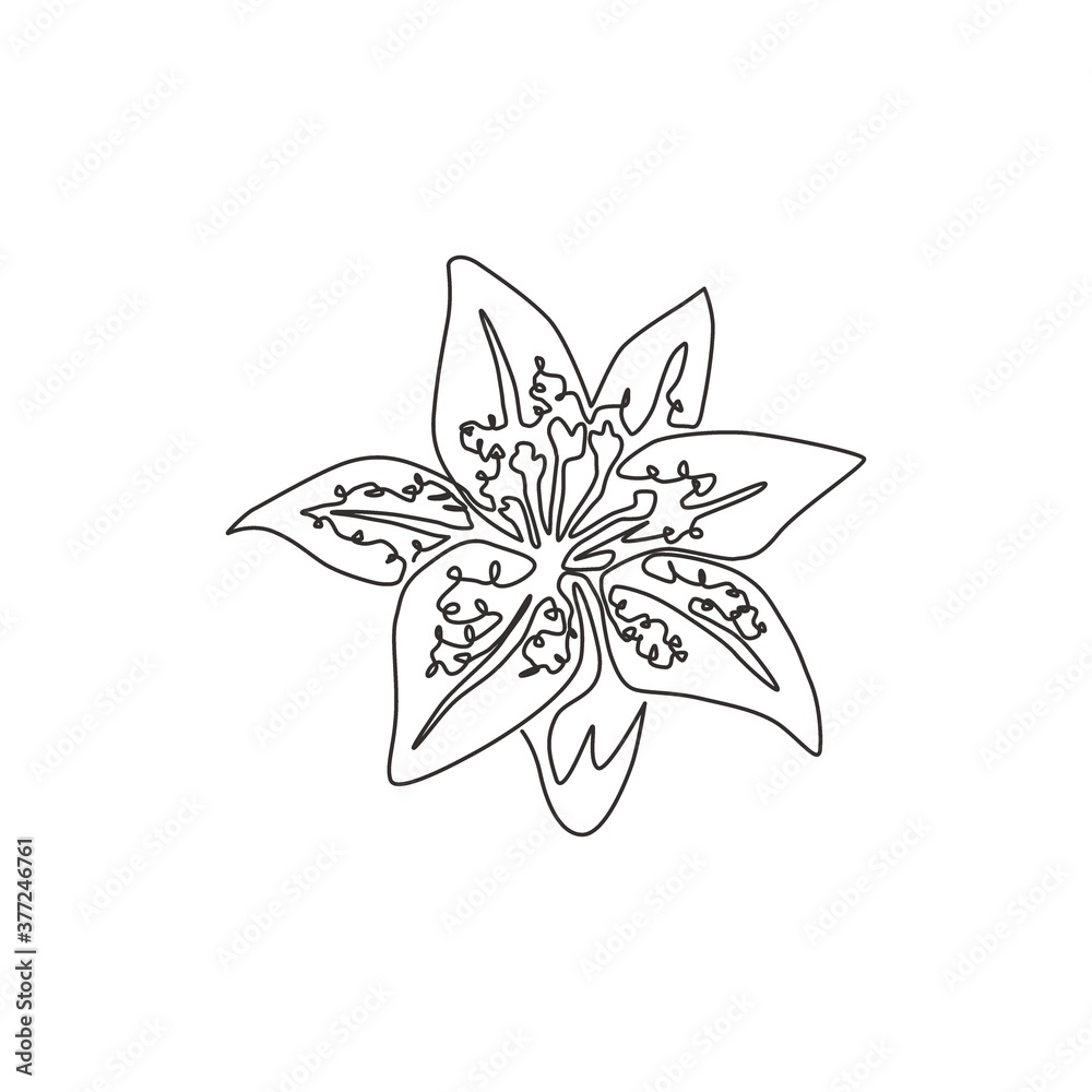 One continuous line drawing of beauty fresh lilium for wall art home decor  poster print. Printable decorative tiger lily flower for greeting card  ornament. Single line draw design vector illustration Stock Vector |