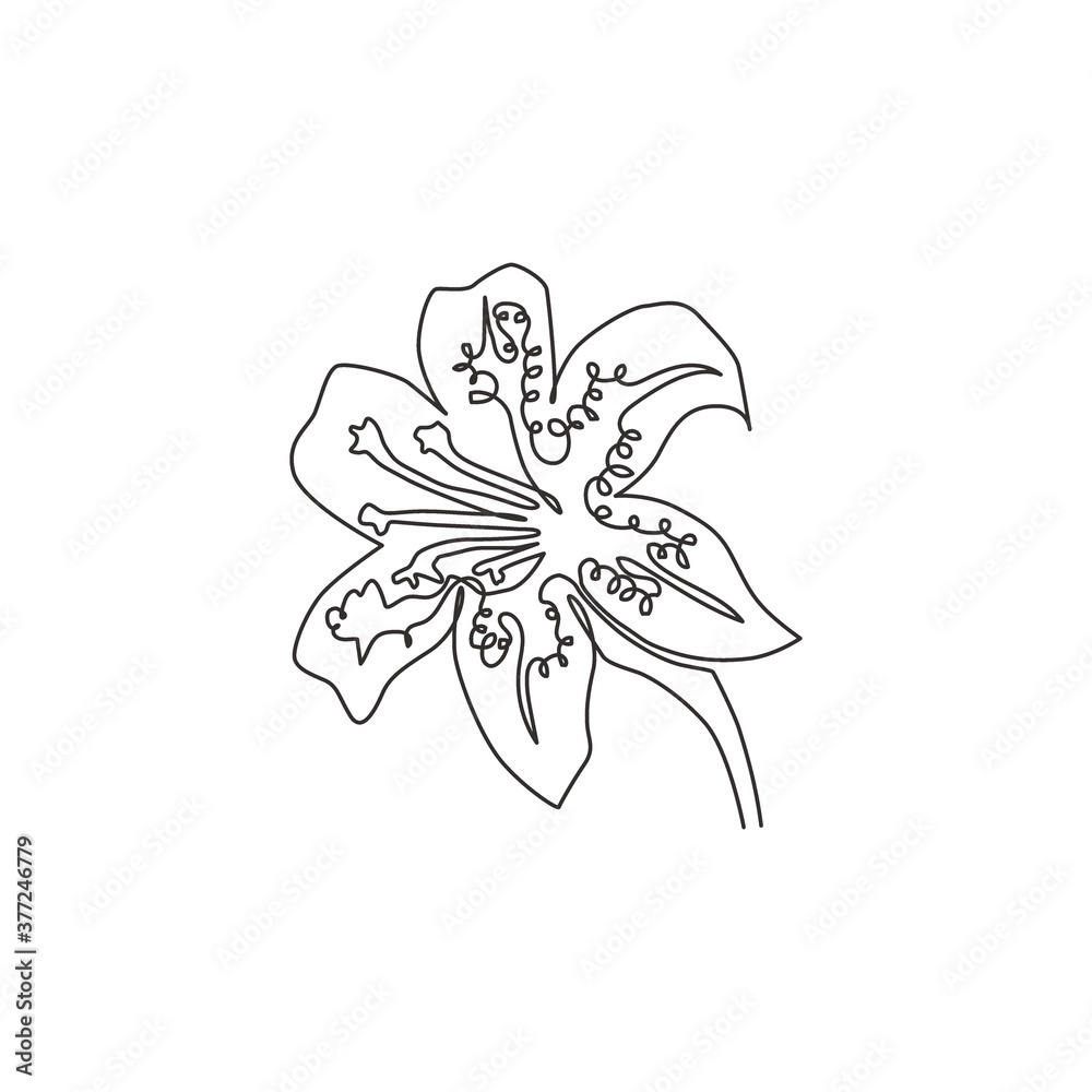 Single continuous line drawing beauty lilium lancifolium for home decor wall art poster print. Printable decorative tiger lily flower for green park. Modern one line draw design vector illustration