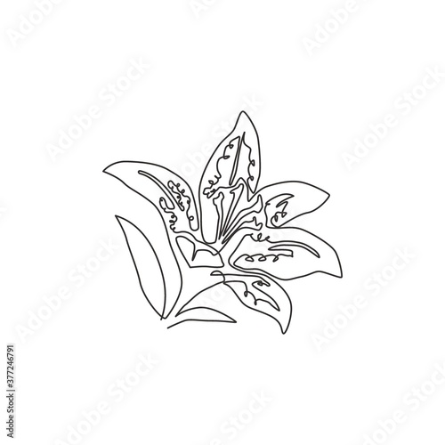 Single one line drawing beauty fresh lilium for home wall decor art poster. Printable decorative tiger lily flower for wedding invitation card. Modern continuous line draw design vector illustration