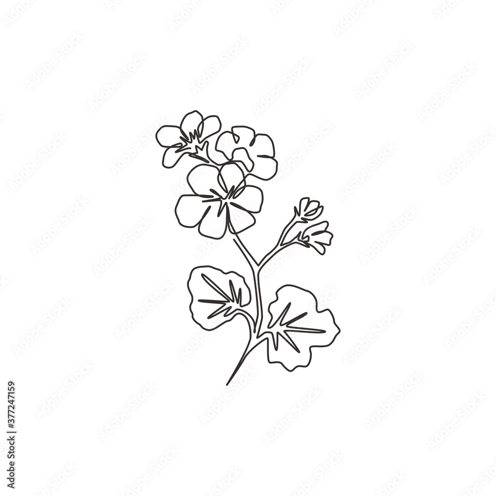 One continuous line drawing beauty fresh geranium for wall decor home print art poster. Printable decorative cranesbills flower concept for card ornament. Tingle line draw design vector illustration