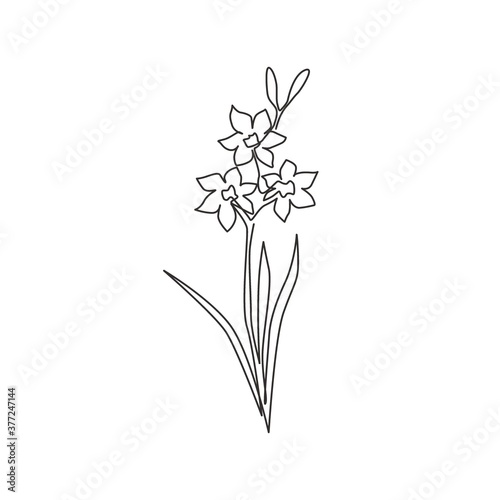 One continuous line drawing beauty fresh narcissus of garden logo. Printable decorative daffodil flower concept for wall decor home art poster print. Modern single line draw design vector illustration