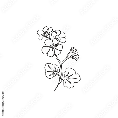 One continuous line drawing beauty fresh geranium for wall decor home print art poster. Printable decorative cranesbills flower concept for card ornament. Tingle line draw design vector illustration