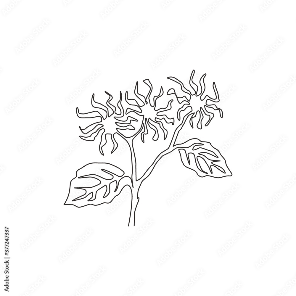 Single one line drawing beauty fresh witch hazels for garden logo. Decorative of winterbloom flower concept for home wall decor art poster print. Modern continuous line draw design vector illustration