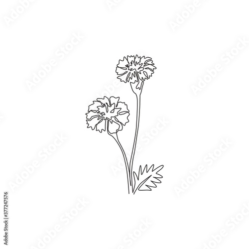 Single continuous line drawing of beauty fresh tagetes erecta for home decor wall art poster print. Decorative marigold flower for floral card frame. Modern one line draw design vector illustration