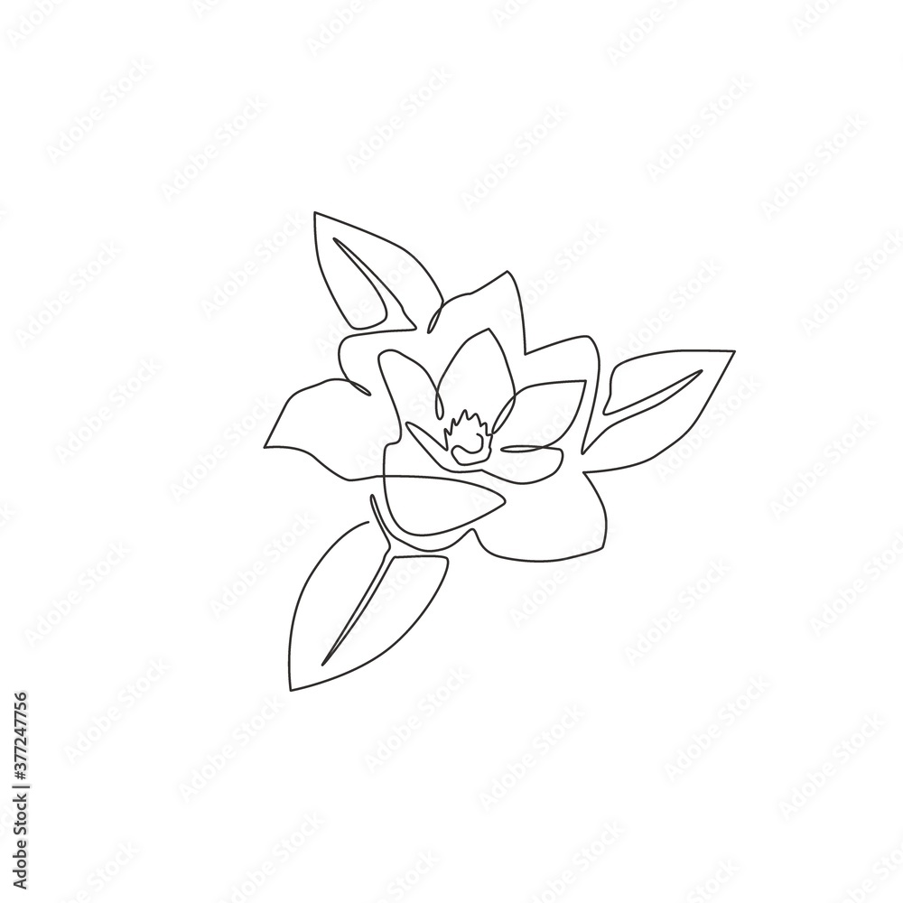 Single continuous line drawing beauty fresh magnoliaceae for home art wall decor poster print. Decorative magnolia flower concept for floral card frame. Modern one line draw design vector illustration Single continuous line drawing beauty fresh magnoliaceae for home art wall decor poster print. Decorative magnolia flower concept for floral card frame. Modern one line draw design vector illustration