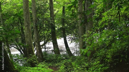 夏の立岩水源公園 photo