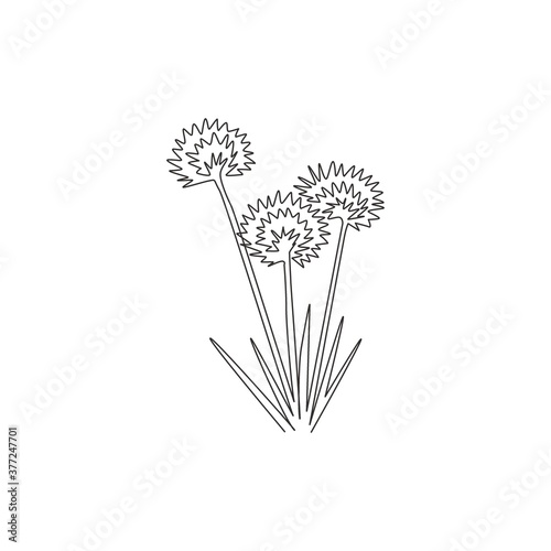 One continuous line drawing beauty fresh allium tuberosum for home wall decor poster art print. Decorative oriental garlic chives flower for greeting card. Single line draw design vector illustration