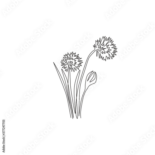 Single one line drawing of beauty fresh allium tuberosum for garden logo. Decorative chives flower concept for home wall decor art poster print. Modern continuous line draw design vector illustration