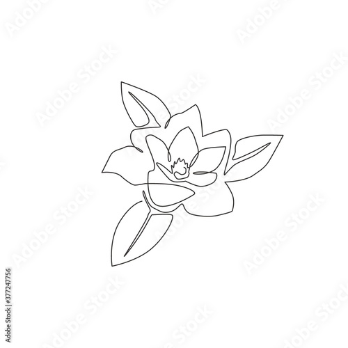 Single continuous line drawing beauty fresh magnoliaceae for home art wall decor poster print. Decorative magnolia flower concept for floral card frame. Modern one line draw design vector illustration