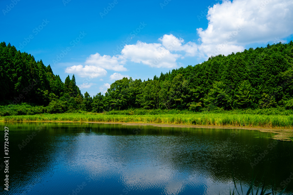 Fototapeta premium 龍王ヶ淵