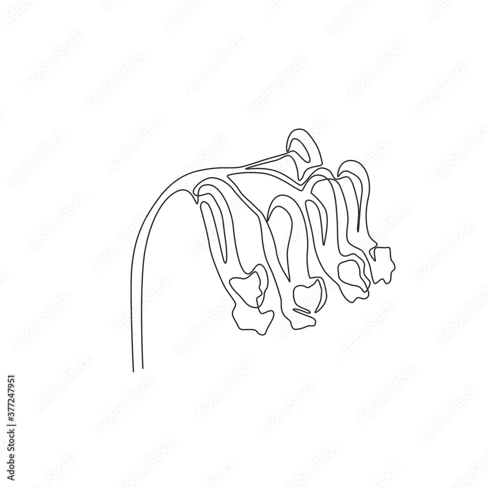 Single one line drawing of beauty fresh corydalis for garden logo. Decorative perennial herbaceous flower for home wall decor poster art print. Modern continuous line draw design vector illustration Single one line drawing of beauty fresh corydalis for garden logo. Decorative perennial herbaceous flower for home wall decor poster art print. Modern continuous line draw design vector illustration