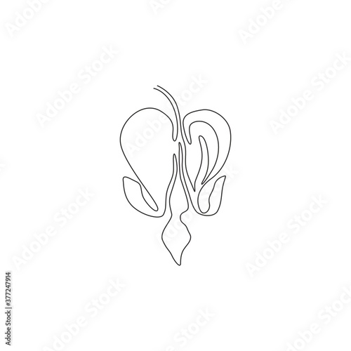 Single one line drawing beauty lamprocapnos spectabilis for garden logo. Decorative bleeding heart flower for home art wall decor poster print. Modern continuous line draw design vector illustration