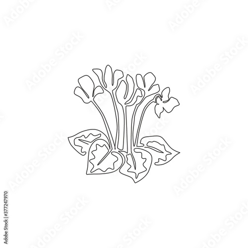Single continuous line drawing beauty fresh swinebread cyclemen for home decor wall art poster print. Decorative sowbread flower for floral card frame. Modern one line draw design vector illustration