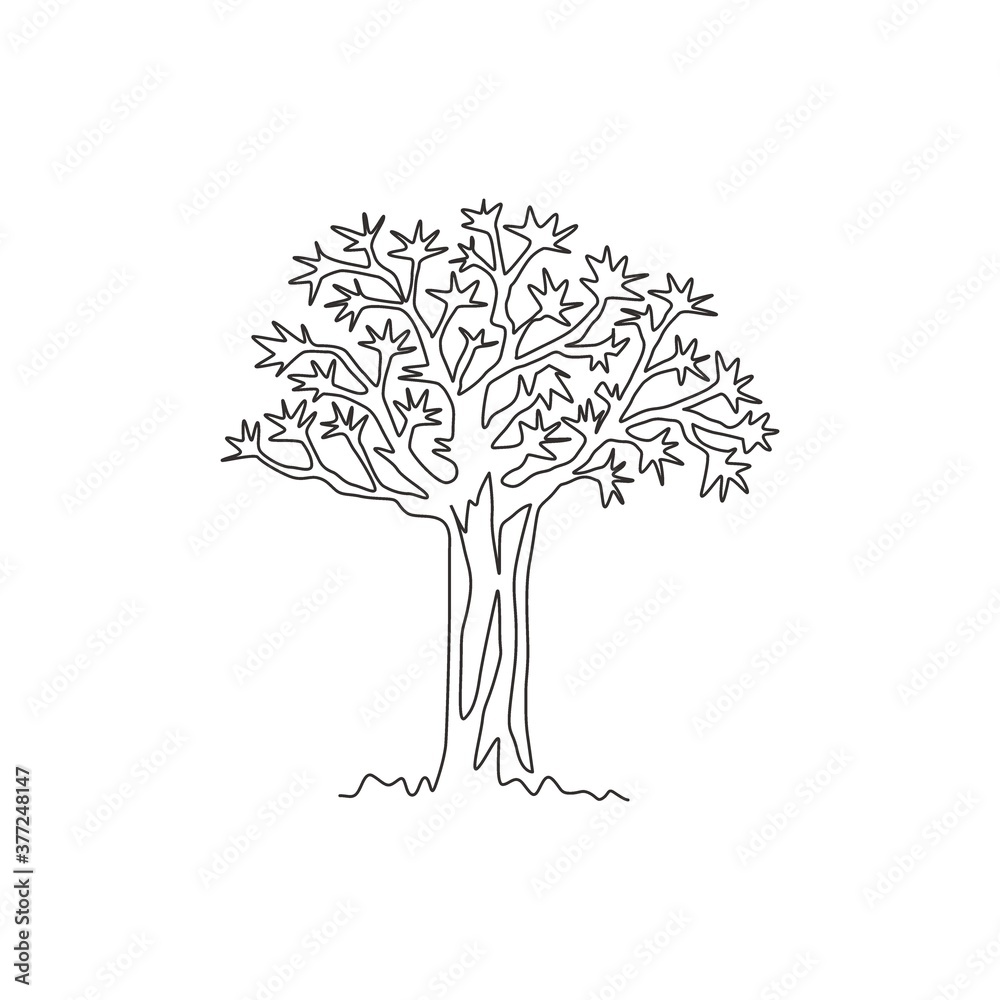 Fototapeta Single one line drawing of quiver tree forest. Decorative kokerboom woud for greeting post card. Tourist and travel wall decor poster print art. Modern continuous line draw design vector illustration