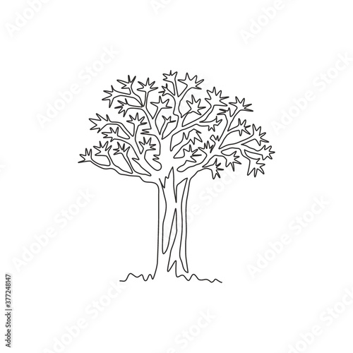 Single one line drawing of quiver tree forest. Decorative kokerboom woud for greeting post card. Tourist and travel wall decor poster print art. Modern continuous line draw design vector illustration