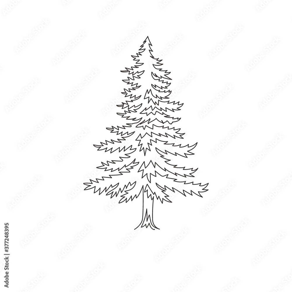 Single one line drawing of beauty exotic pine tree for home art wall decor poster. Decorative pinus plant for national park logo. Tourism travel. Modern continuous line draw design vector illustration