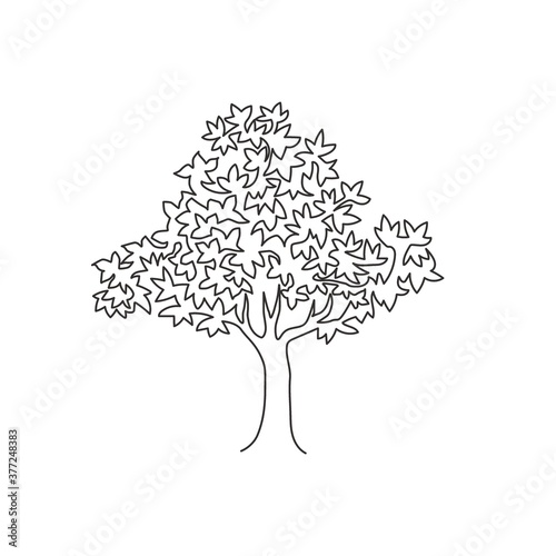Single one line drawing big beauty exotic acer pseudoplatanus tree for home decor wall art poster print. Decorative maple plant for national park logo. Continuous line draw design vector illustration