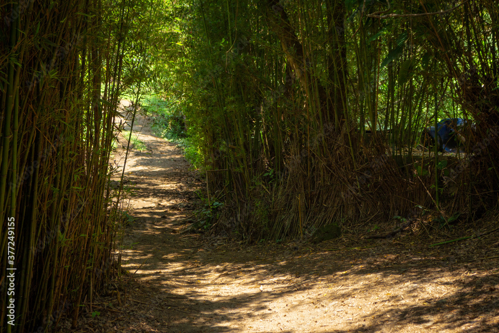 Obraz premium Dirt roads in the middle of the mountain