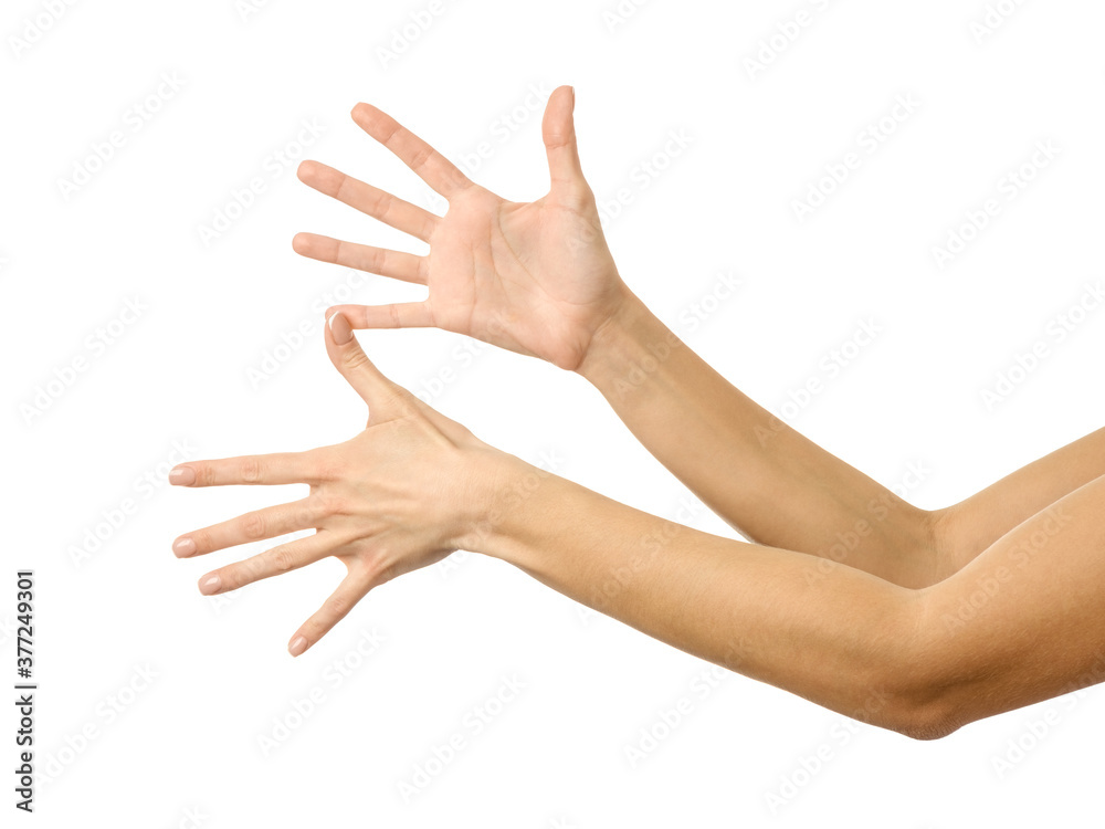Two-handed gesture. Woman hand gesturing isolated on white