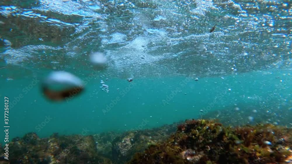 Take underwater with a view of the reefs, beautiful marine fauna, turquoise blue water. take in slow motion Take underwater with a view of the reefs, beautiful marine fauna, turquoise blue water. take in slow motion