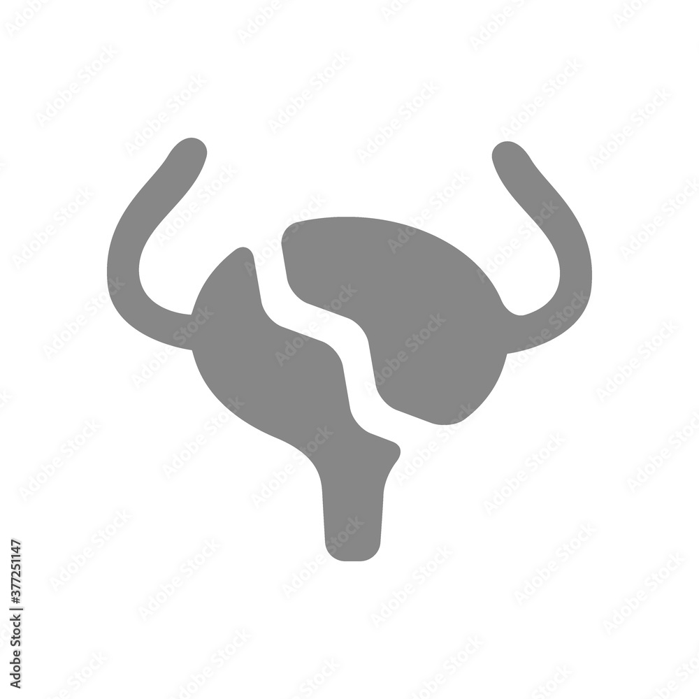Fototapeta premium Broken human urinary bladder gray icon. Diseased internal organ symbol