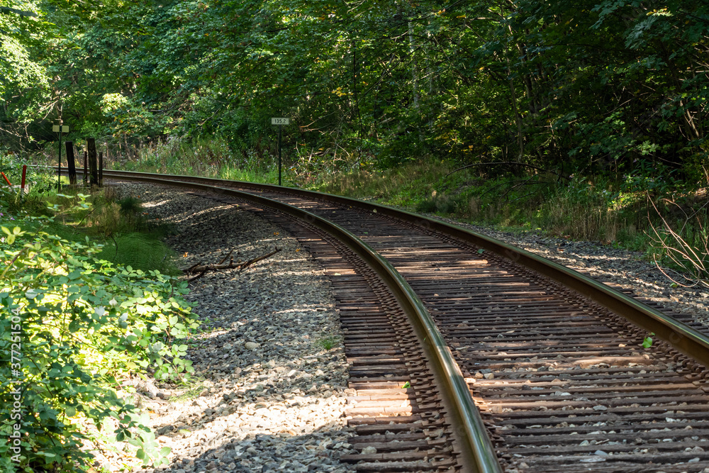 a railroad stretching into the forest on a sunny day with dense green trees on both sides