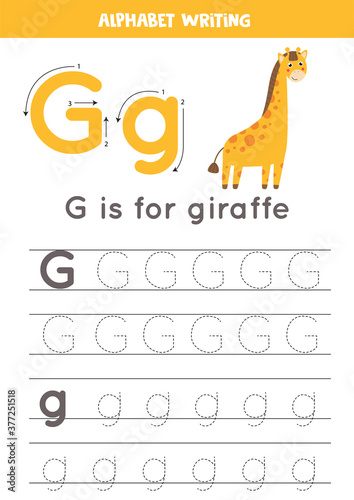 G is for giraffe. Tracing English alphabet worksheet.