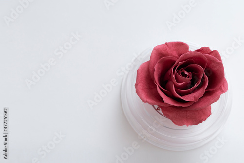 薔薇,バラ,ばら,花,ドライフラワー,美しい,きれい,赤,インテリア,雑貨,白,デスク