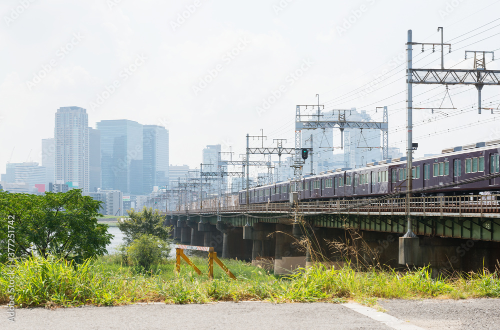 Fototapeta premium 淀川河川公園