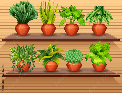 Set of plant on shelves