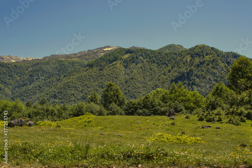Greater Caucasus Mountains  Georgia  Samegrelo  views of smaller peaks in early summer 