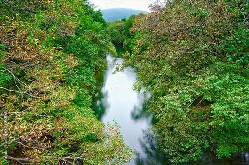 森の中を流れる川。釧路川、北海道。