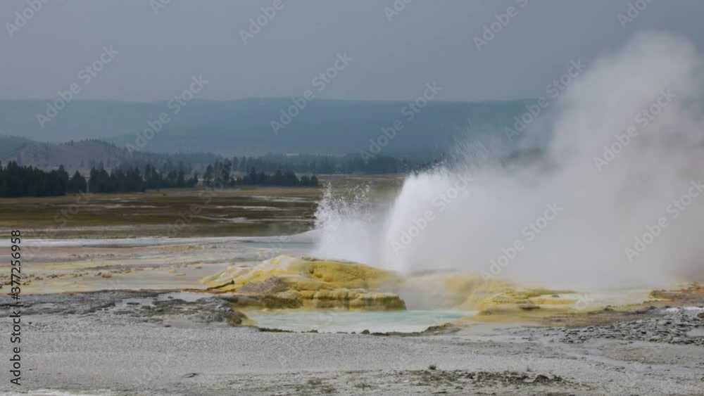 Water And Steam Spews Out Of The Clepsydra Geyser During Eruption At The Lower Geyser Basin In Yellowstone National Park, Wyoming - Breathtaking Scenery - wide shot Water And Steam Spews Out Of The Clepsydra Geyser During Eruption At The Lower Geyser Basin In Yellowstone National Park, Wyoming - Breathtaking Scenery - wide shot