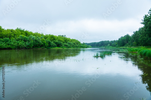 Calm river with trees on the shores in rainy summer day. Summer landscape.