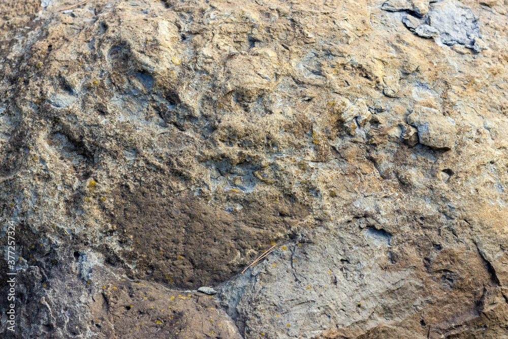 The texture of natural stone on the cut is a material for creative developments in the field of landscape design. The texture of natural stone on the cut is a material for creative developments in the field of landscape design.