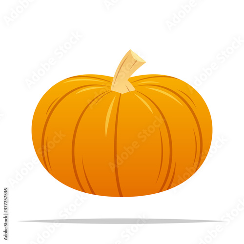 Autumn pumpkin vector isolated illustration