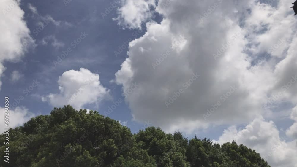 Nature timelapse. Beautiful summer landscape timelapse. Forest, green field, blue sky with clouds and road timelapse. summer day landscape in woods with dramatic clouds flowing fast on sky Nature timelapse. Beautiful summer landscape timelapse. Forest, green field, blue sky with clouds and road timelapse. summer day landscape in woods with dramatic clouds flowing fast on sky