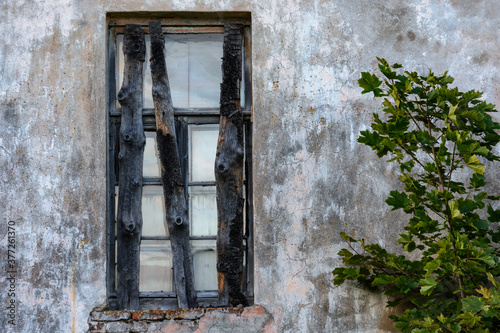 Wall with a window boarded up by boards in an old abandoned house and branches of a green tree on the background of the wall