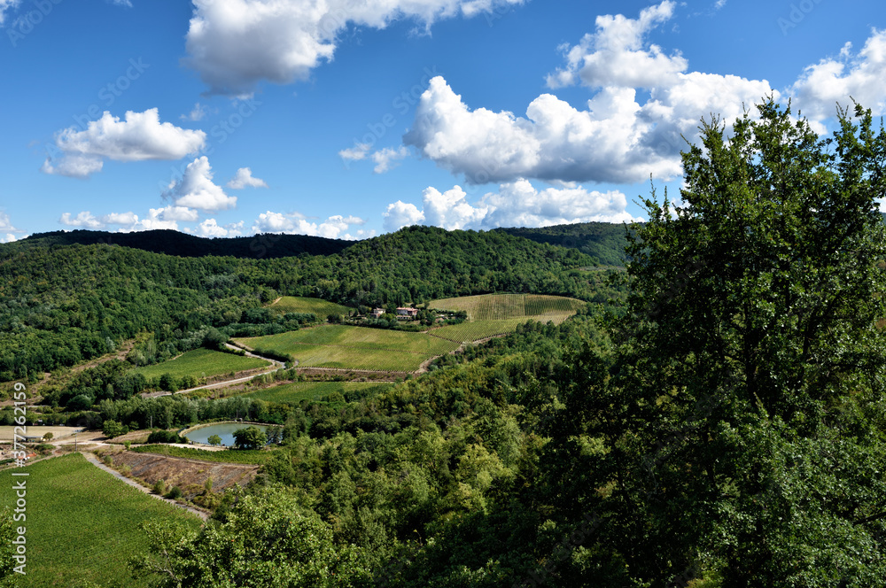 Obraz premium Wineries in Tuscany, the taste of the earth 