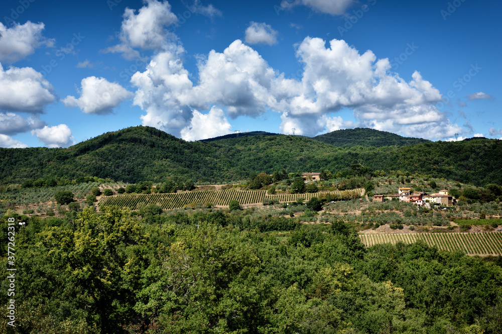 Wineries in Tuscany, the taste of the earth 