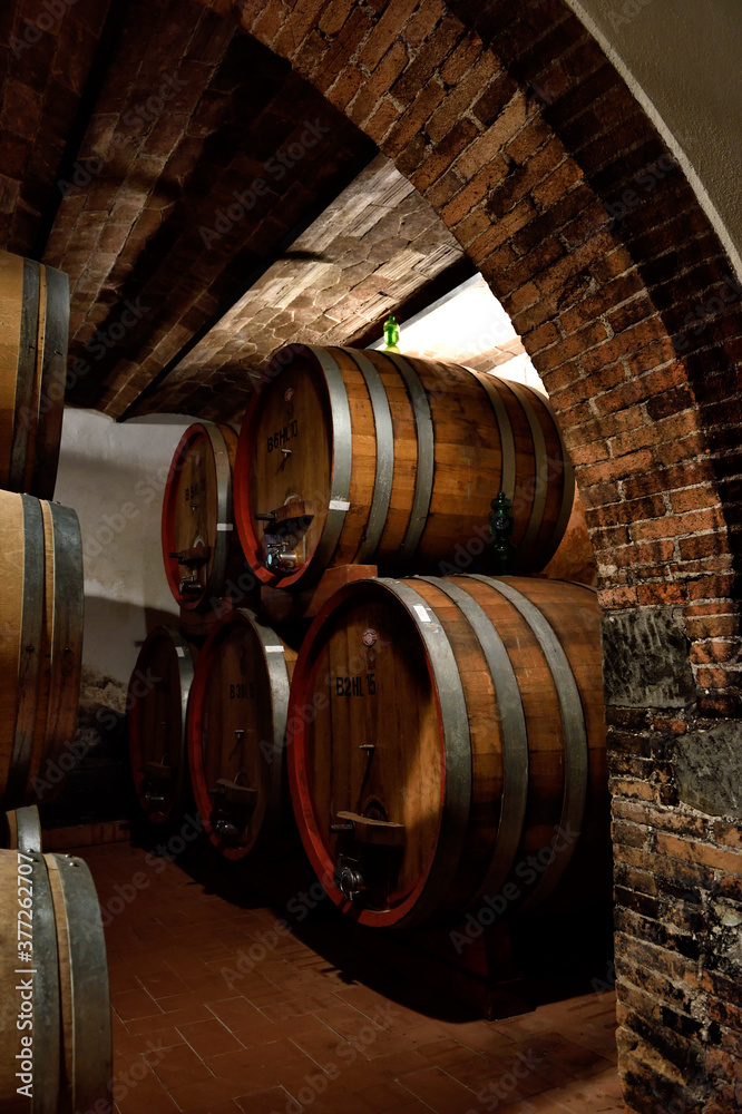 wine barrels in cellar